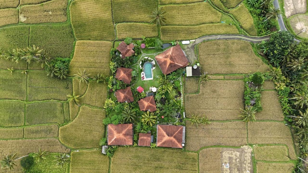 Bali Sawah Indah Hotell Ubud Exteriör bild