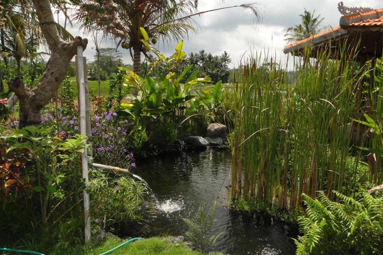 Bali Sawah Indah Hotell Ubud Exteriör bild