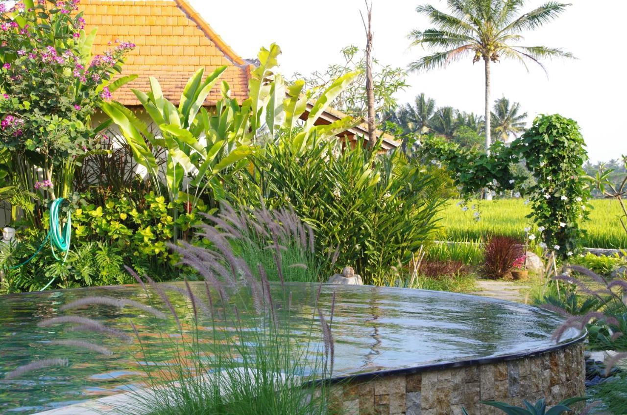 Bali Sawah Indah Hotell Ubud Exteriör bild