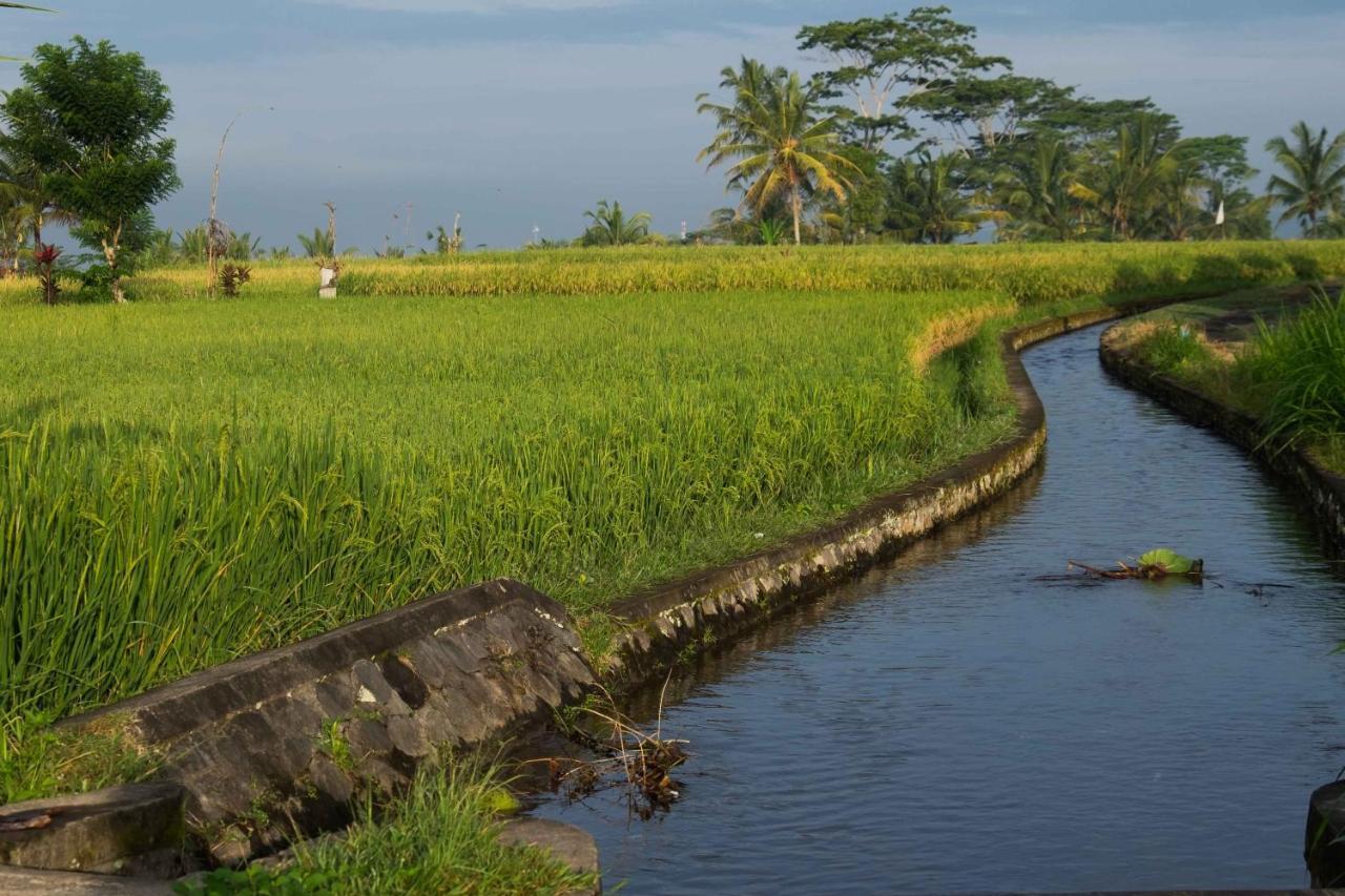 Bali Sawah Indah Hotell Ubud Exteriör bild